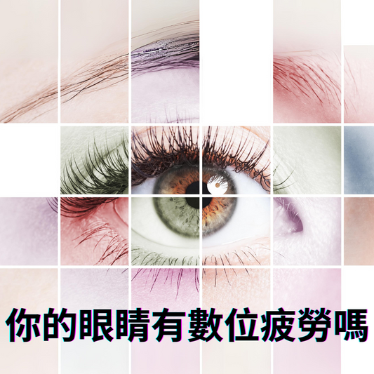 Bilberry 對眼睛的保護效果