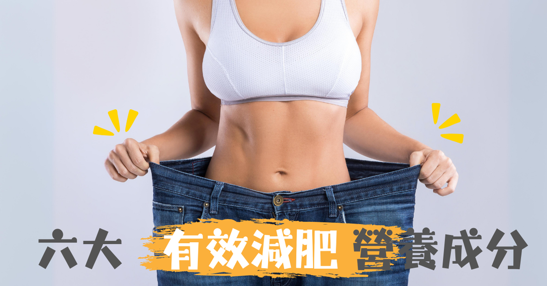 6種營養保健品成分有效幫助減肥